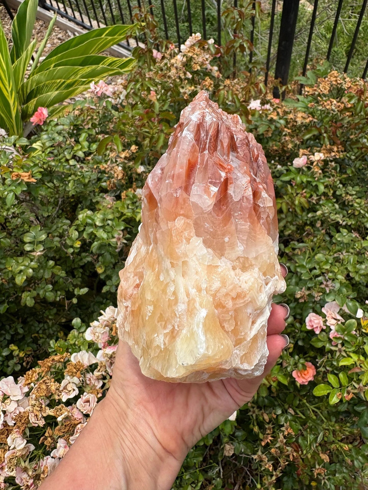 "Solar Rise" Red Calcite Formation | Strength & Creative Emergence Stability | Vitality | Emotional Uplift