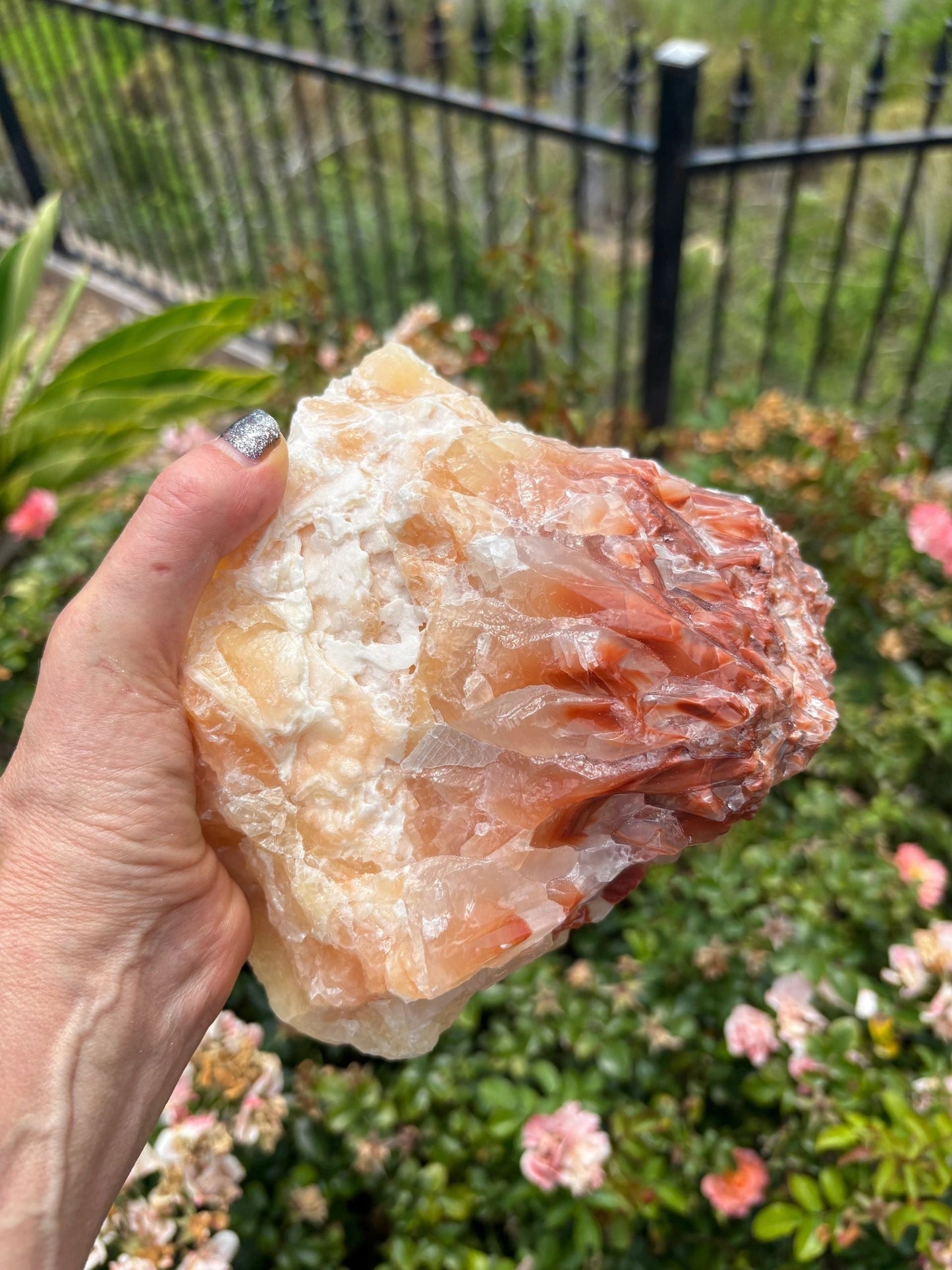 "Solar Rise" Red Calcite Formation | Strength & Creative Emergence Stability | Vitality | Emotional Uplift