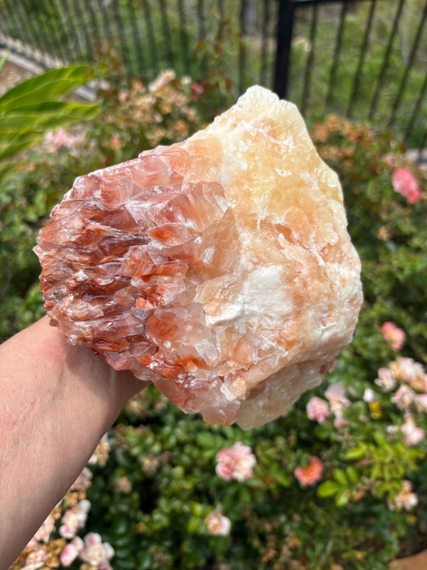 "Solar Rise" Red Calcite Formation | Strength & Creative Emergence Stability | Vitality | Emotional Uplift