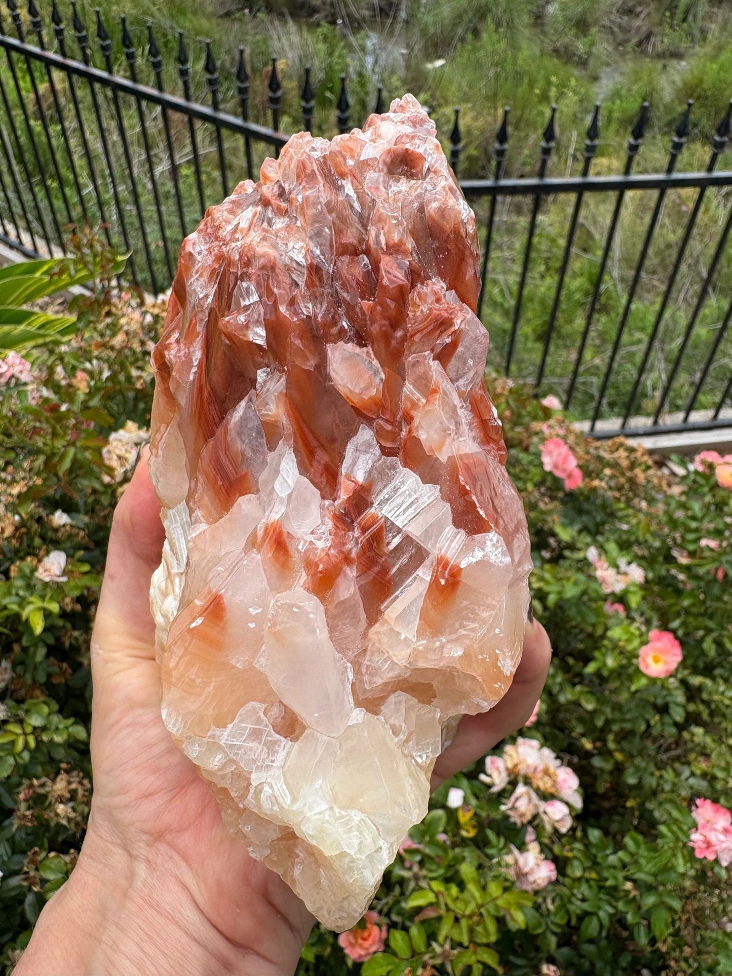 "Solar Rise" Red Calcite Formation | Strength & Creative Emergence Stability | Vitality | Emotional Uplift