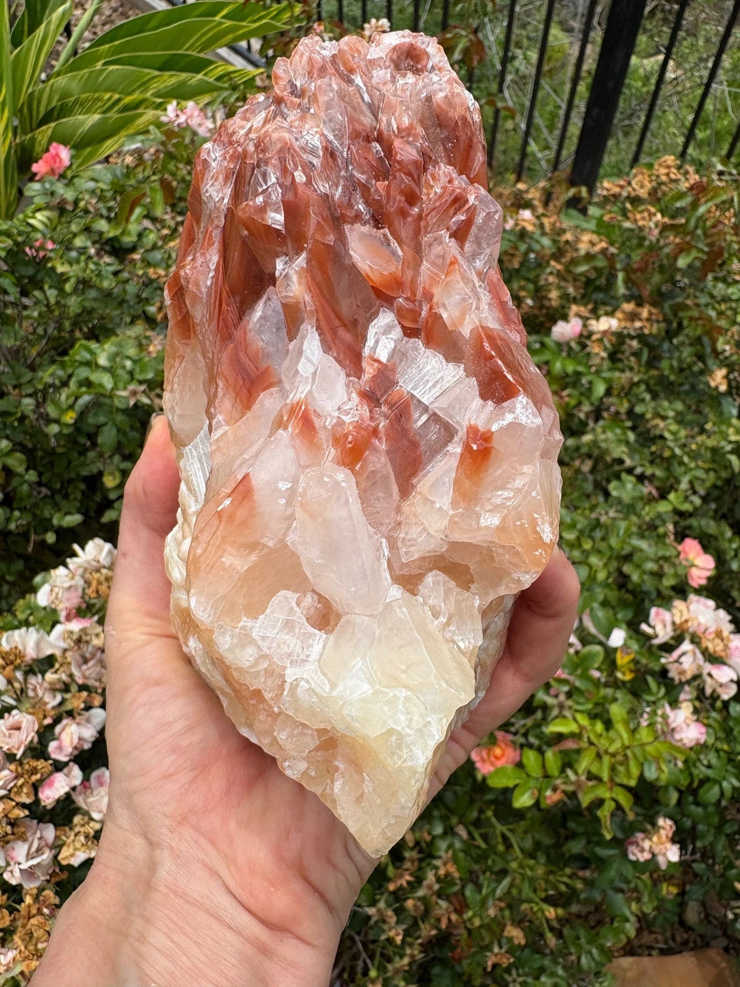 "Solar Rise" Red Calcite Formation | Strength & Creative Emergence Stability | Vitality | Emotional Uplift