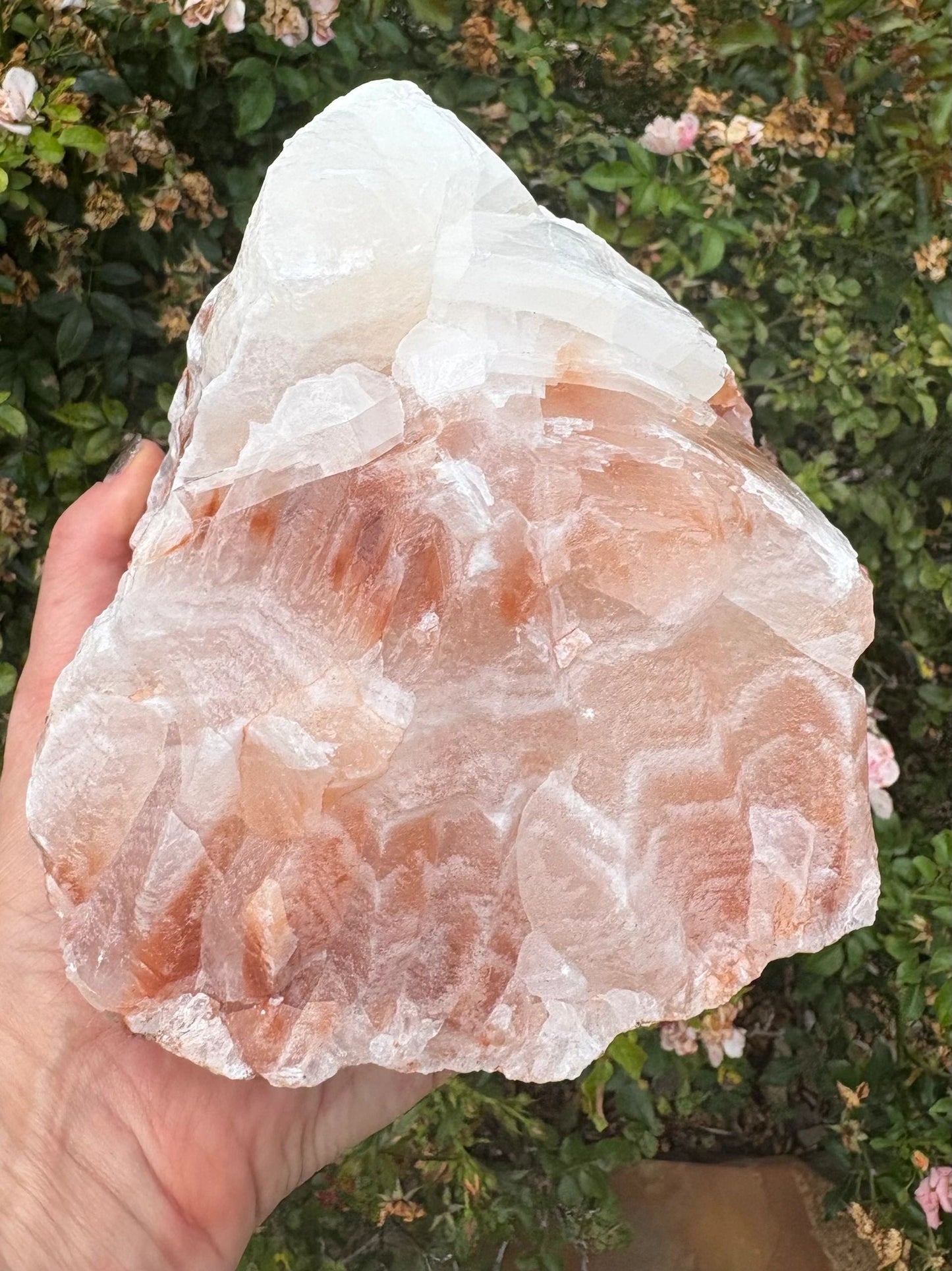Chevron Star | Red Calcite Formation | Inner Alignment & Sacred Structure Balance | Grounding | Energetic Precision