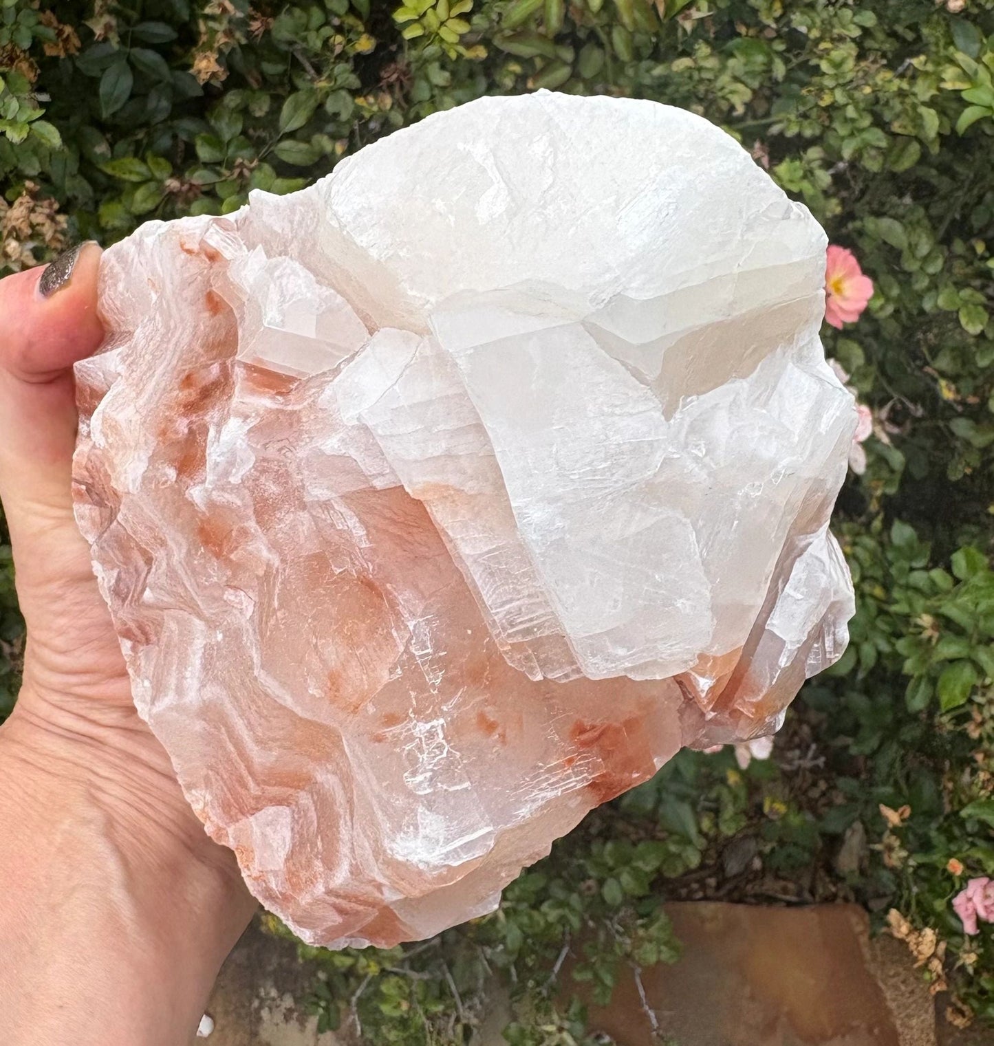Chevron Star | Red Calcite Formation | Inner Alignment & Sacred Structure Balance | Grounding | Energetic Precision