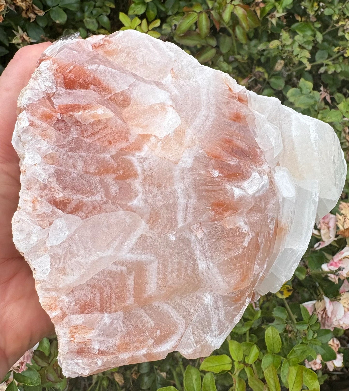 Chevron Star | Red Calcite Formation | Inner Alignment & Sacred Structure Balance | Grounding | Energetic Precision