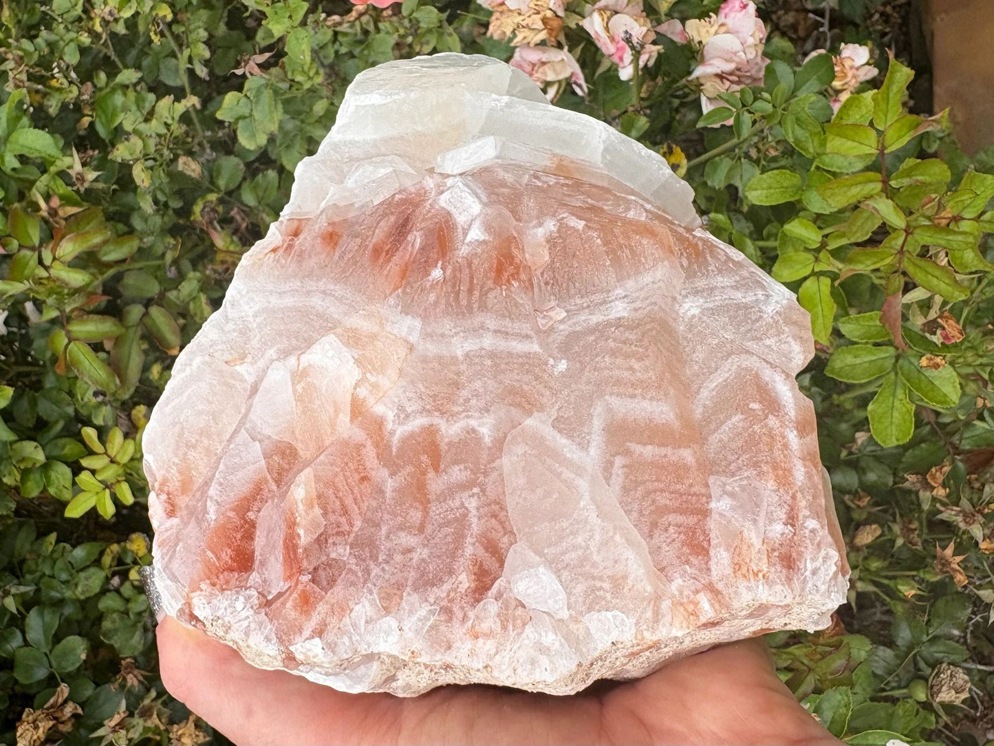 Chevron Star | Red Calcite Formation | Inner Alignment & Sacred Structure Balance | Grounding | Energetic Precision