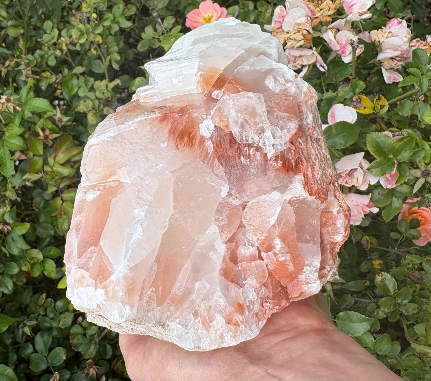 Chevron Star | Red Calcite Formation | Inner Alignment & Sacred Structure Balance | Grounding | Energetic Precision