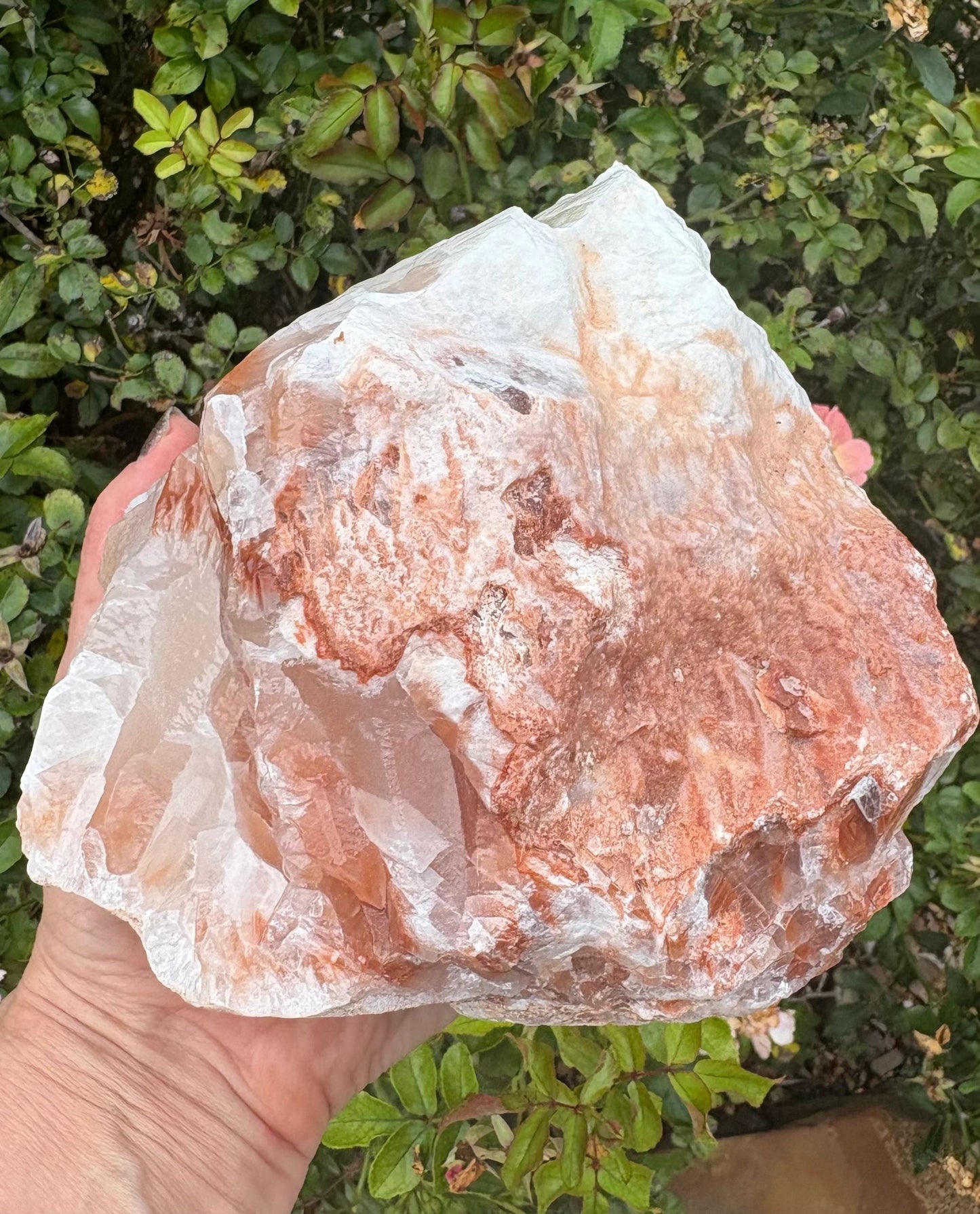 Chevron Star | Red Calcite Formation | Inner Alignment & Sacred Structure Balance | Grounding | Energetic Precision