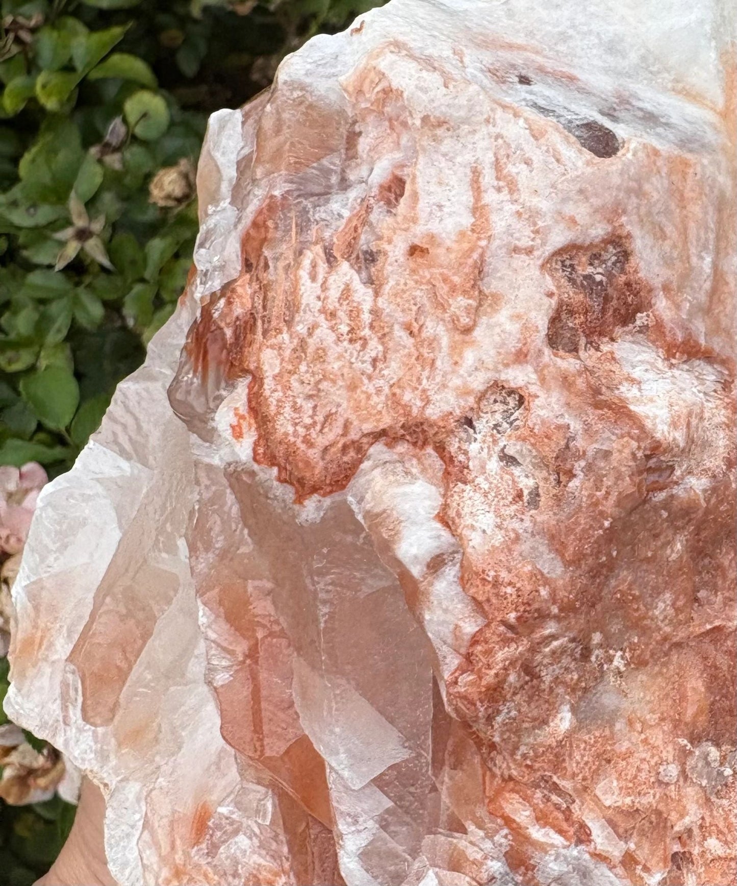 Chevron Star | Red Calcite Formation | Inner Alignment & Sacred Structure Balance | Grounding | Energetic Precision