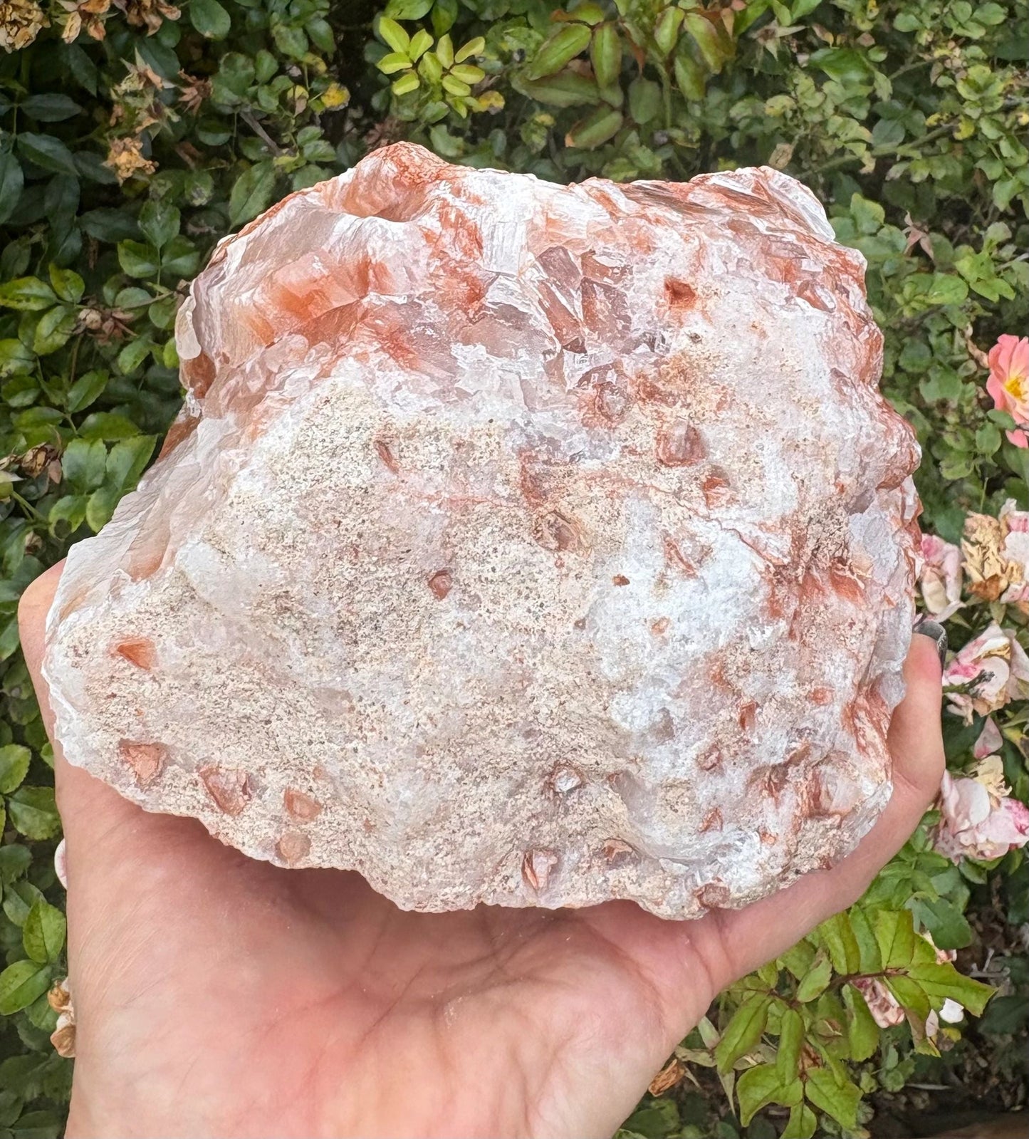 Chevron Star | Red Calcite Formation | Inner Alignment & Sacred Structure Balance | Grounding | Energetic Precision