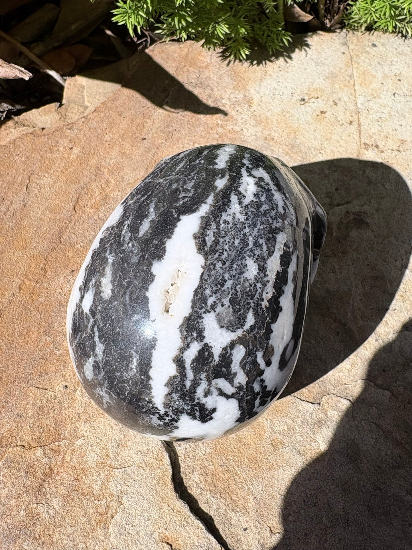 Zebra Jasper Skull – Balance • Grounding • Yin–Yang Harmony