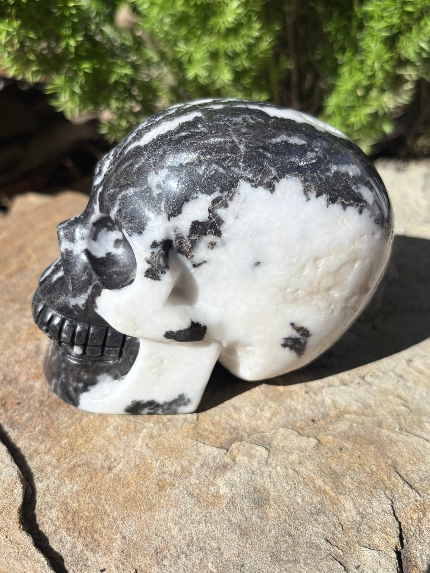 Zebra Jasper Skull – Balance • Grounding • Yin–Yang Harmony