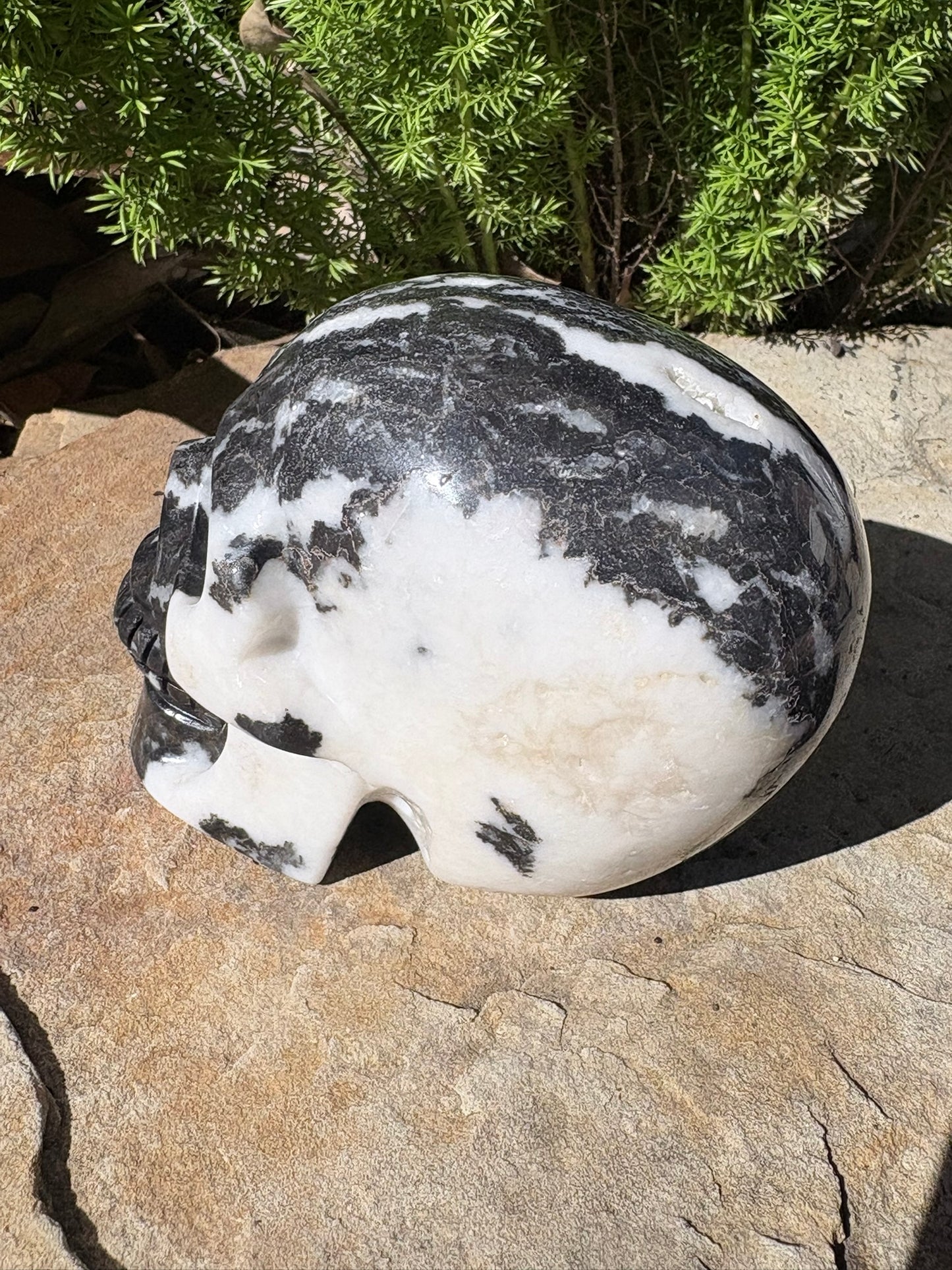 Zebra Jasper Skull – Balance • Grounding • Yin–Yang Harmony