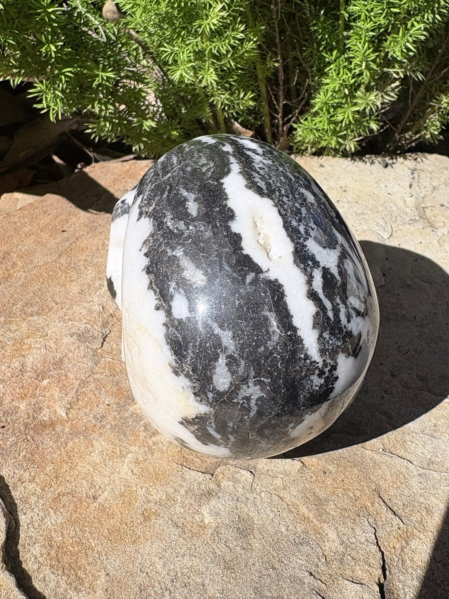 Zebra Jasper Skull – Balance • Grounding • Yin–Yang Harmony