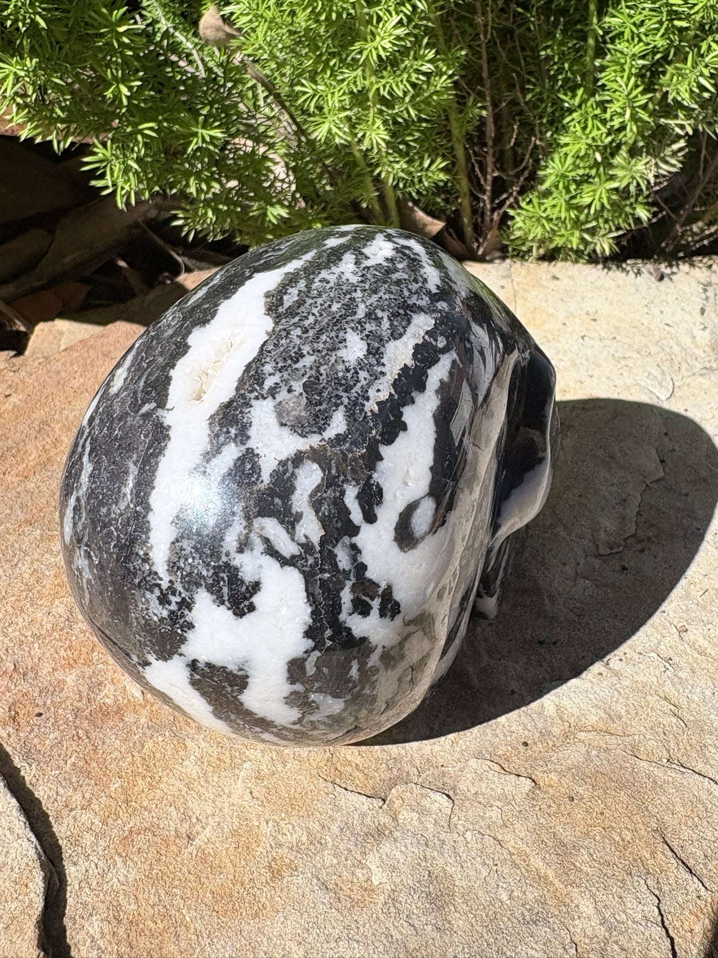Zebra Jasper Skull – Balance • Grounding • Yin–Yang Harmony