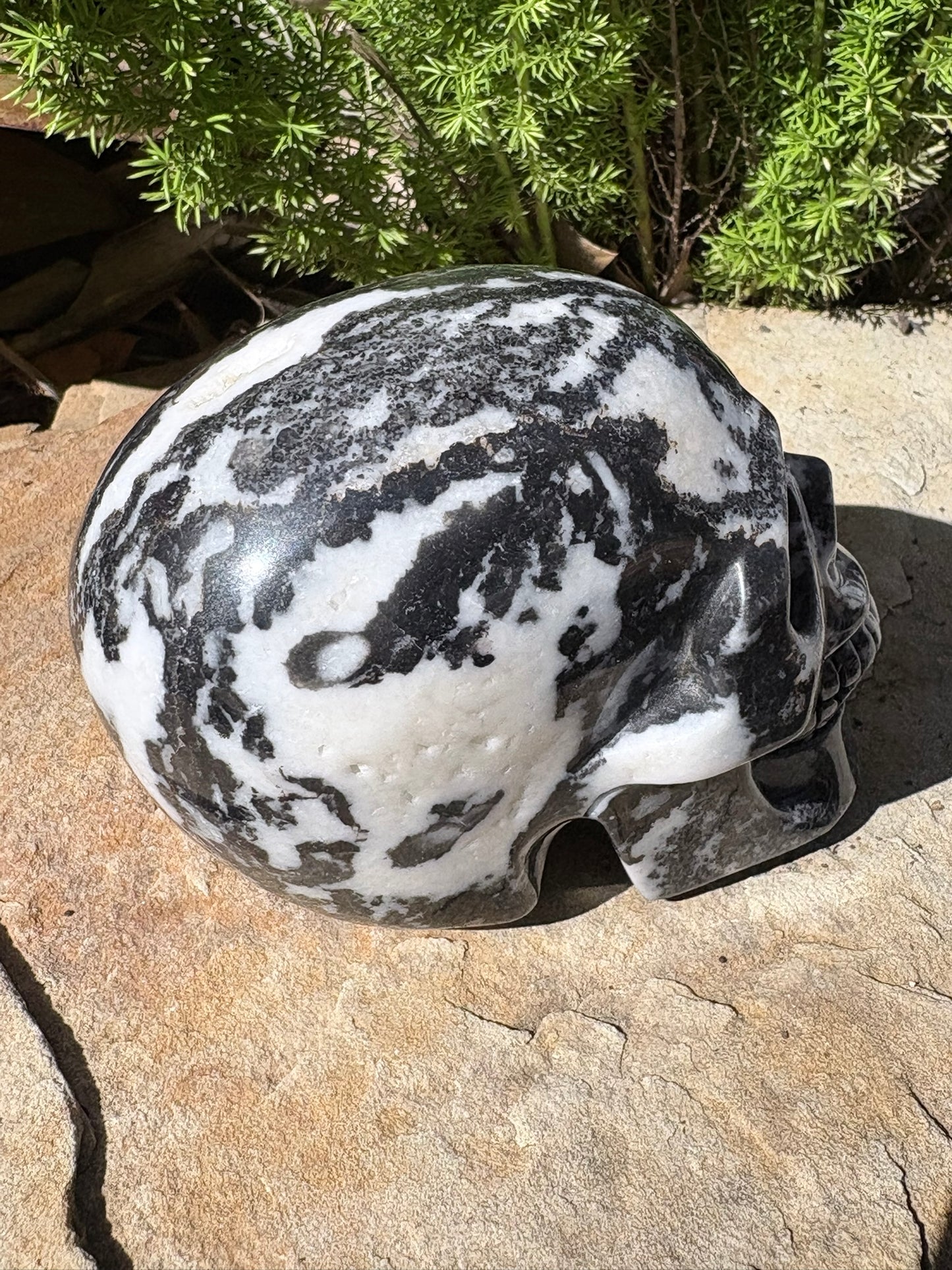 Zebra Jasper Skull – Balance • Grounding • Yin–Yang Harmony