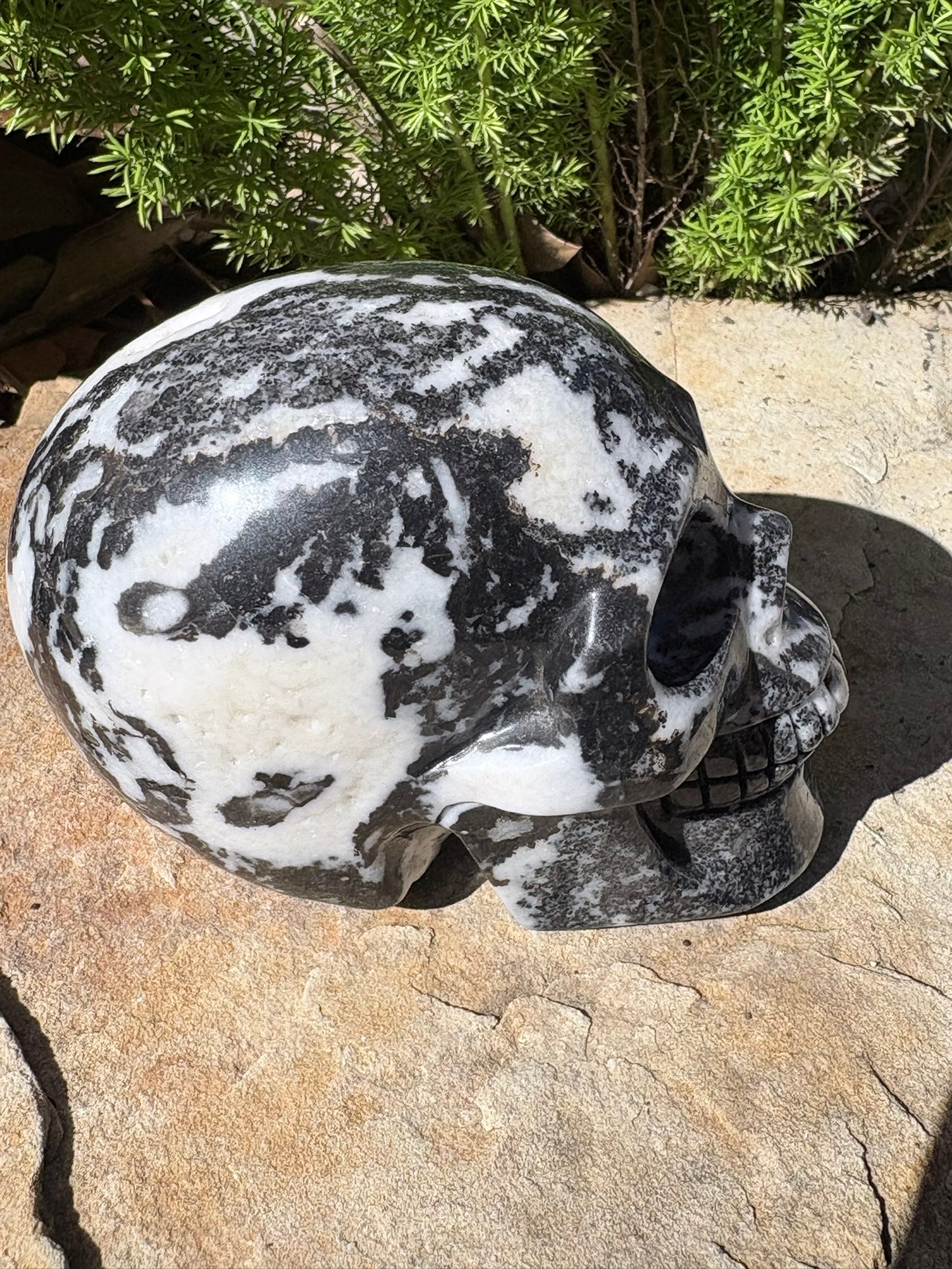 Zebra Jasper Skull – Balance • Grounding • Yin–Yang Harmony