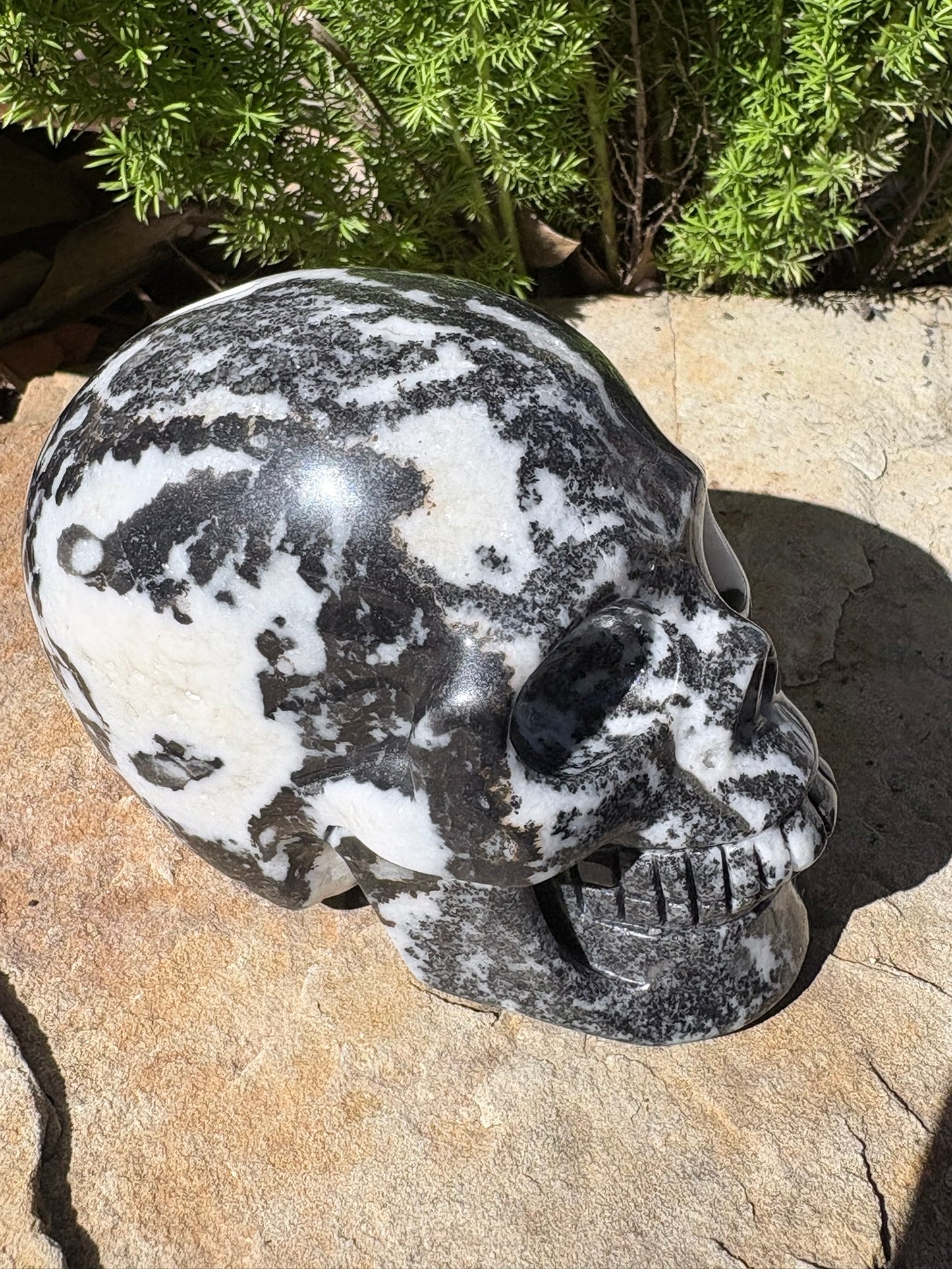Zebra Jasper Skull – Balance • Grounding • Yin–Yang Harmony