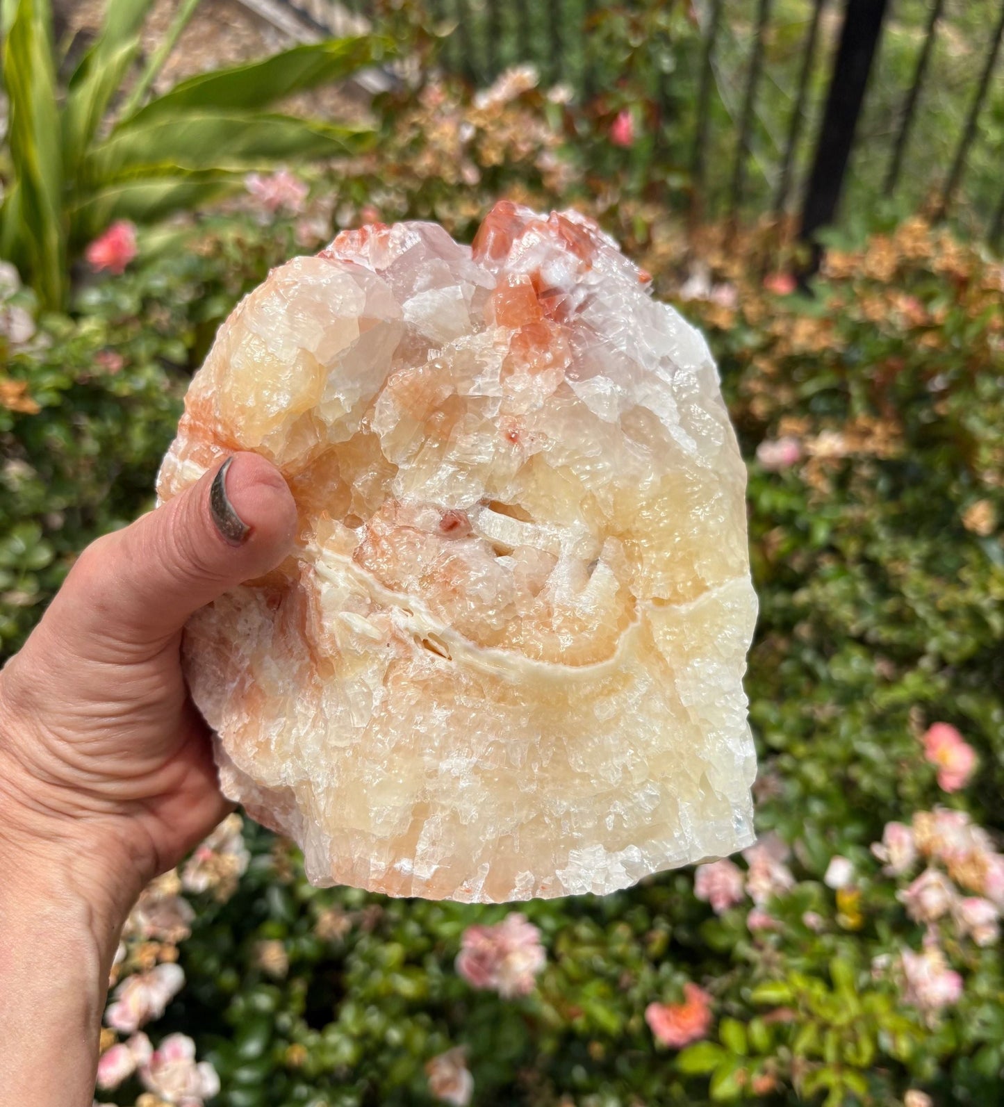 "Crimson Nova" Red Calcite Formation | Vitality & Celestial Grounding Empowered Stillness | Creative Flow | Rooted Light