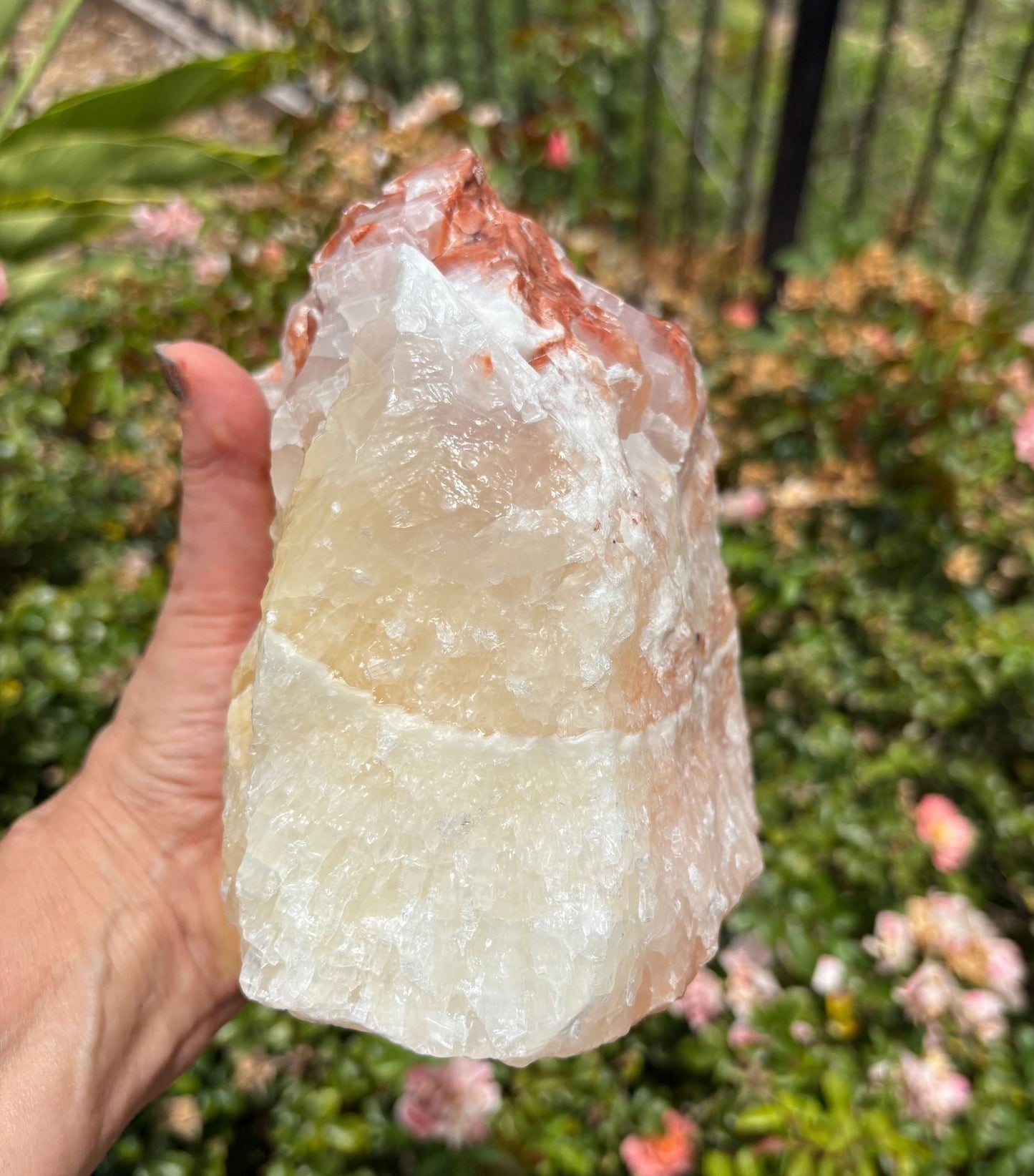 "Crimson Nova" Red Calcite Formation | Vitality & Celestial Grounding Empowered Stillness | Creative Flow | Rooted Light