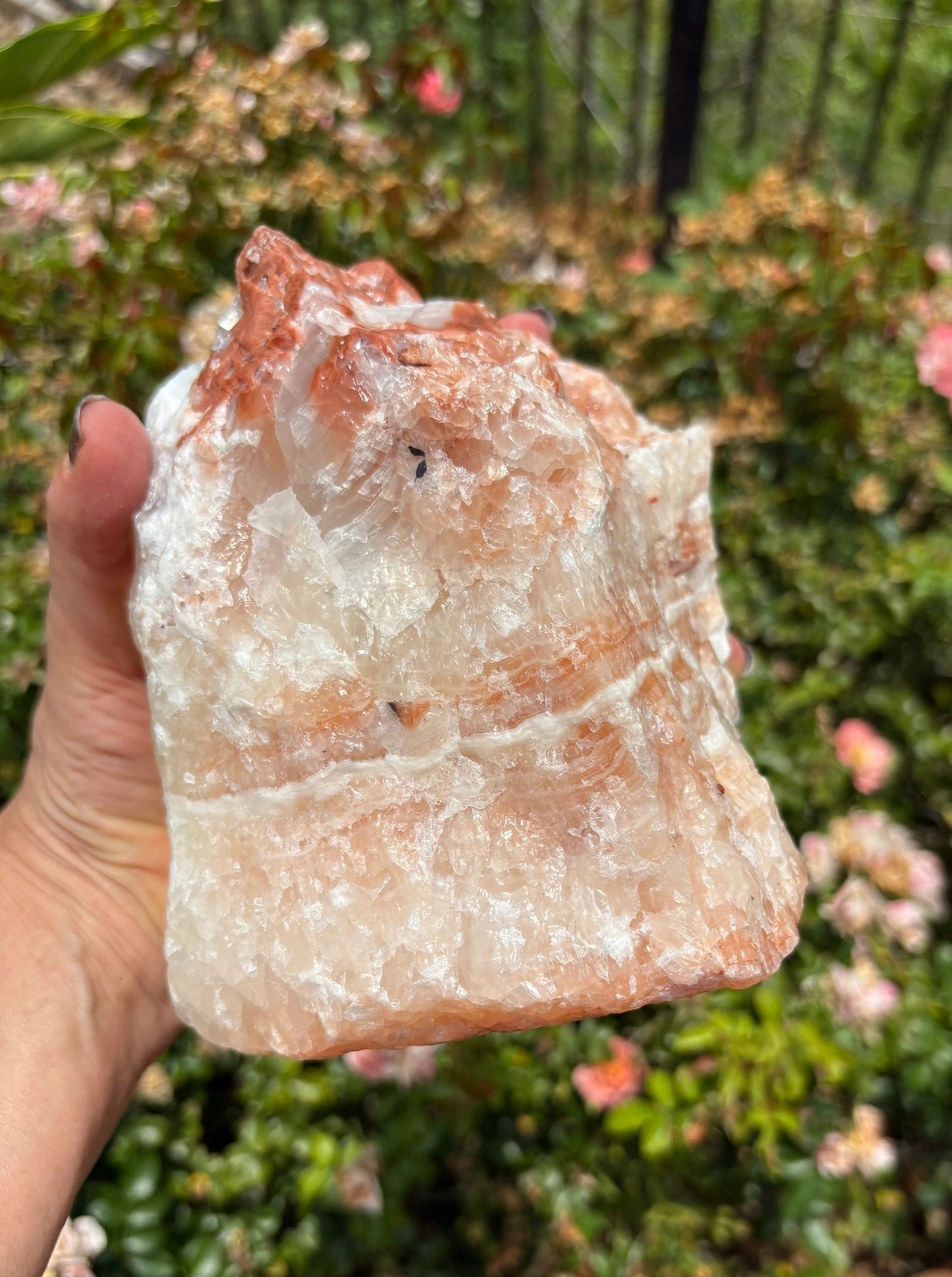 "Crimson Nova" Red Calcite Formation | Vitality & Celestial Grounding Empowered Stillness | Creative Flow | Rooted Light