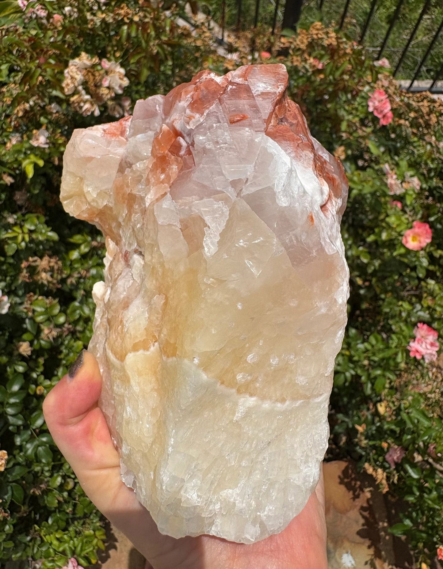 "Crimson Nova" Red Calcite Formation | Vitality & Celestial Grounding Empowered Stillness | Creative Flow | Rooted Light