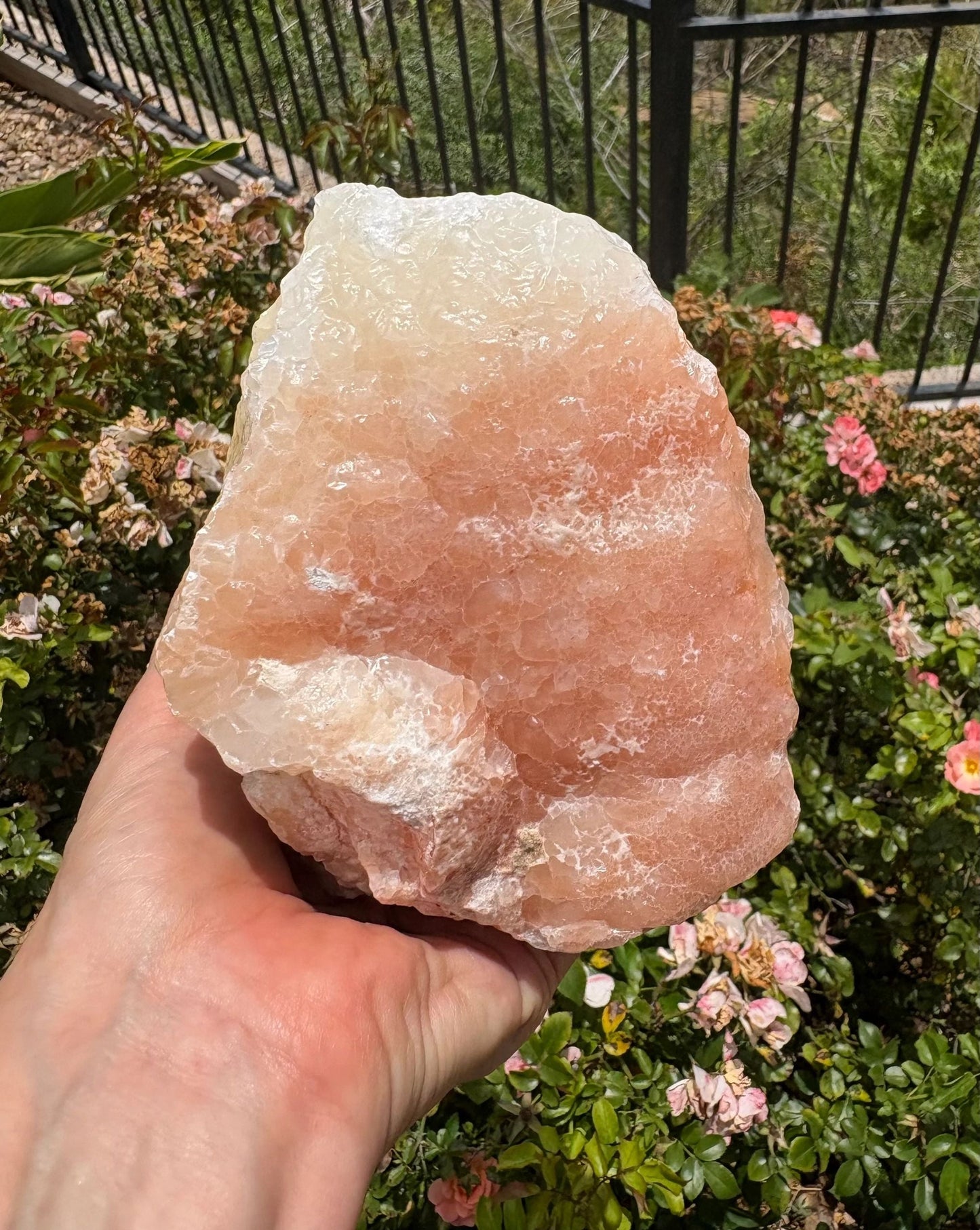 "Crimson Nova" Red Calcite Formation | Vitality & Celestial Grounding Empowered Stillness | Creative Flow | Rooted Light