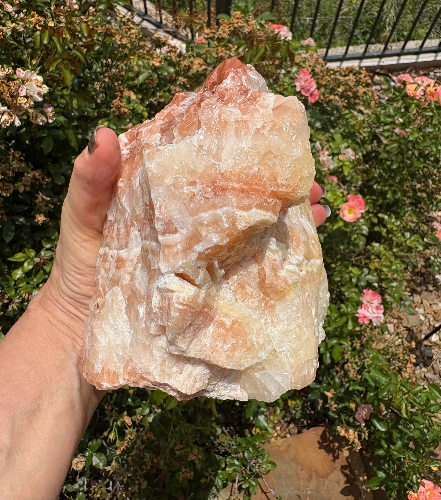"Crimson Nova" Red Calcite Formation | Vitality & Celestial Grounding Empowered Stillness | Creative Flow | Rooted Light