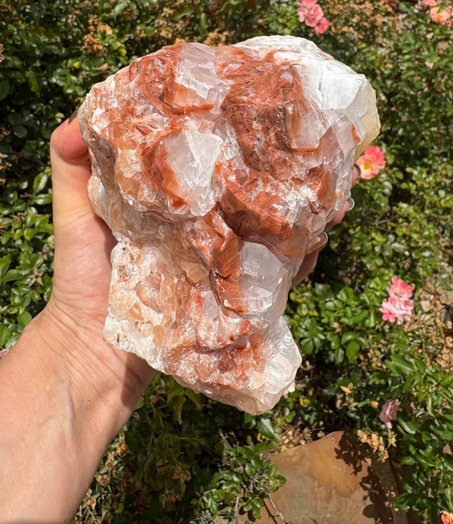 "Crimson Nova" Red Calcite Formation | Vitality & Celestial Grounding Empowered Stillness | Creative Flow | Rooted Light