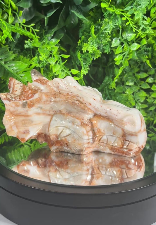 Amber Calcite Dragon Head Carving - Confidence • Clarity • Ancient Wisdom