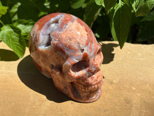 💀 Pink Petal Agate Skull with Druzy Crown – Grounded Joy, Ancient Wisdom & Spiraled Sparkle 1.65 lbs. | 4" x 2.5" x 3" |