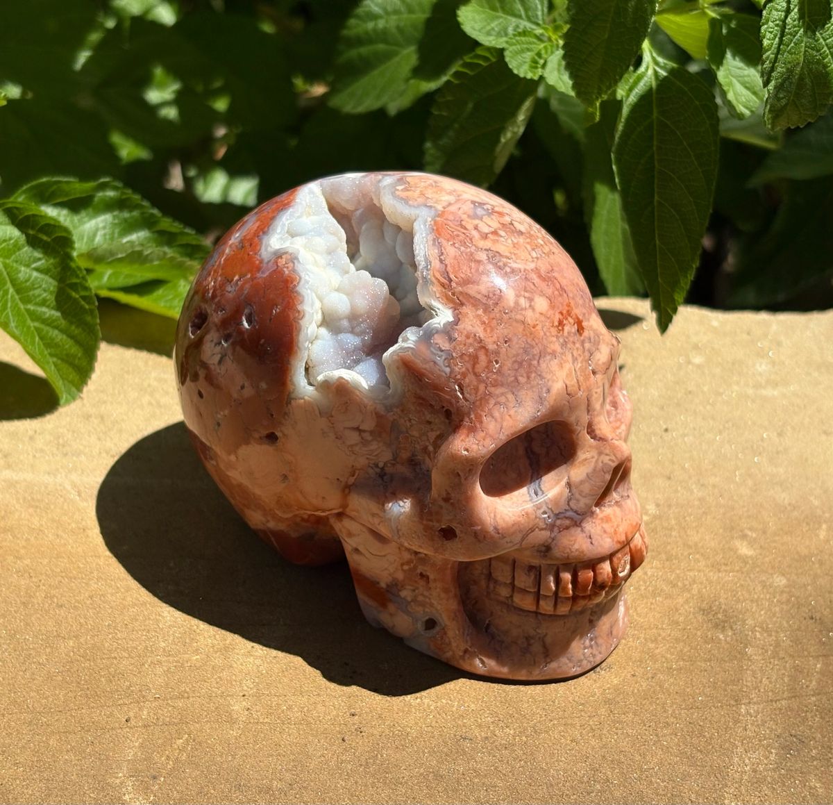 💀 Pink Petal Agate Skull with Druzy Crown – Grounded Joy, Ancient Wisdom & Spiraled Sparkle 1.58 lbs | 4" x 2.5" x 3.1" | Code: PA2