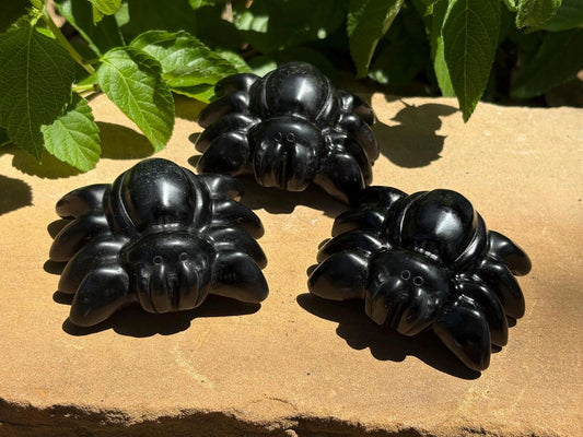 Black Obsidian Spider Tarantula 🕷️✨ Root Healing Sidekick | Protection, Power & Halloween Sass